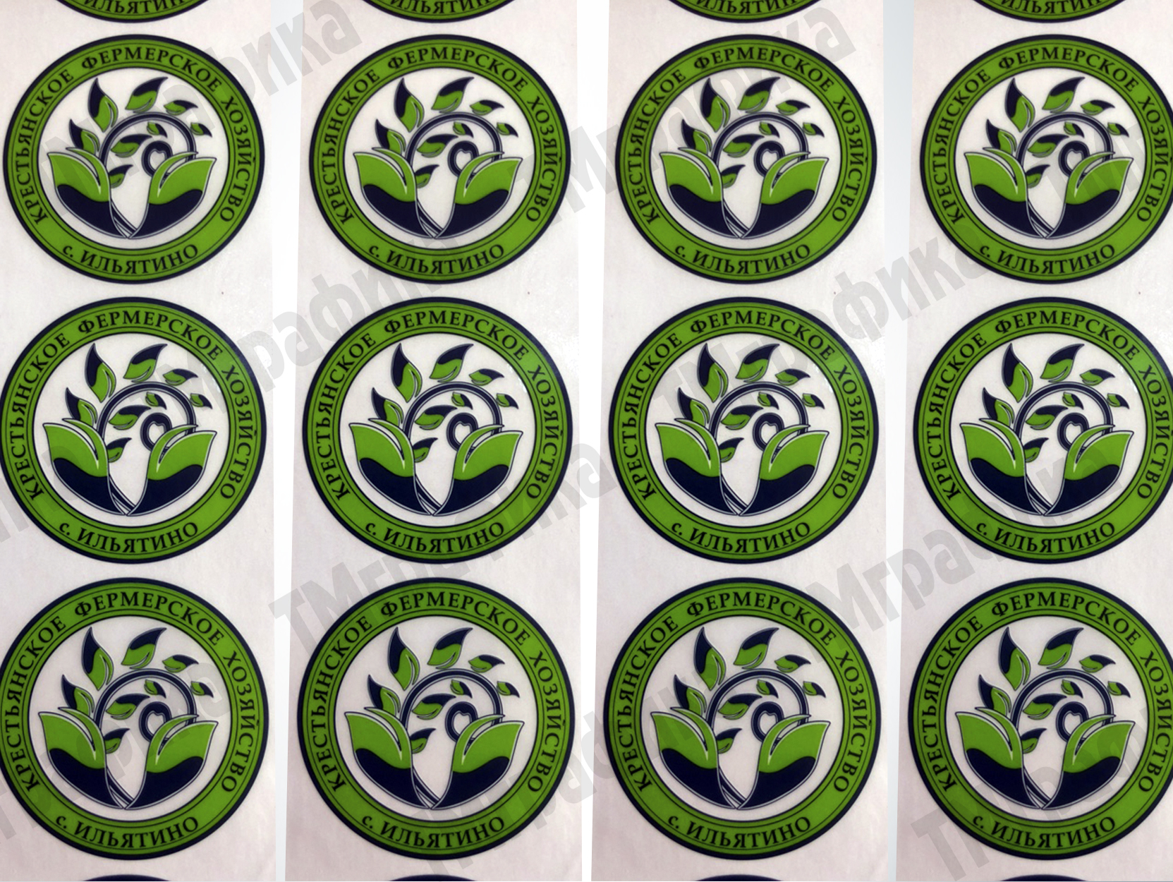 2nakleika-s-logotipom