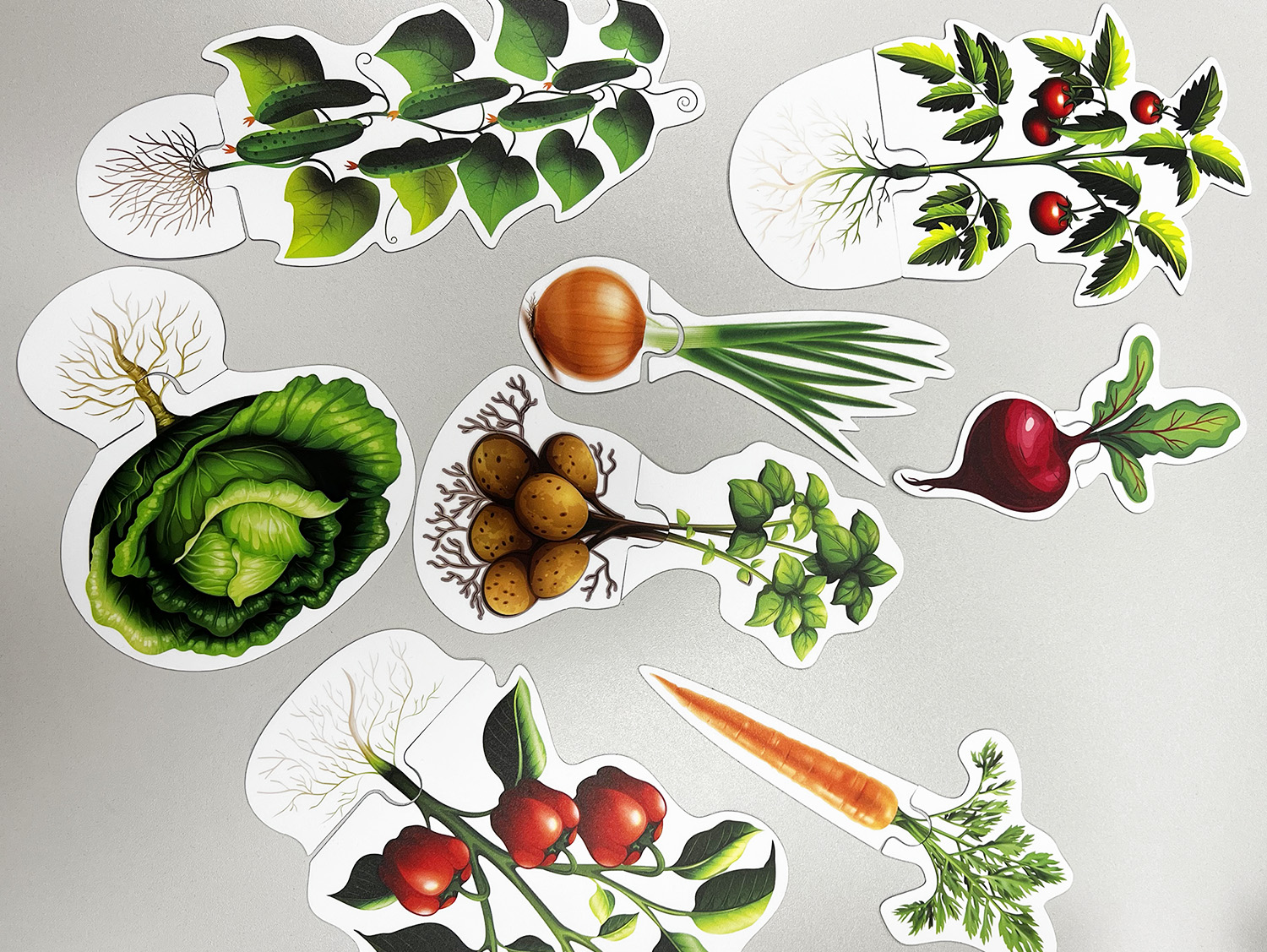 20-magnit-suvenirnyi